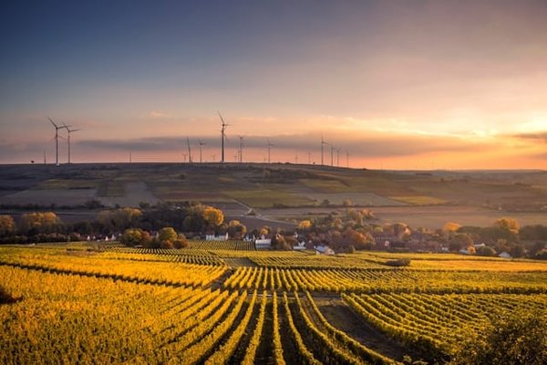 Comment optimiser l'utilisation de l'énergie solaire dans les fermes agricoles sans compromettre l'espace cultivable ?
