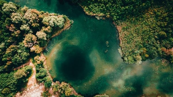Comment mettre en place un programme de surveillance de la qualité de l'air avec la participation des citoyens ?